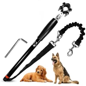 Ratastooli koerarihm